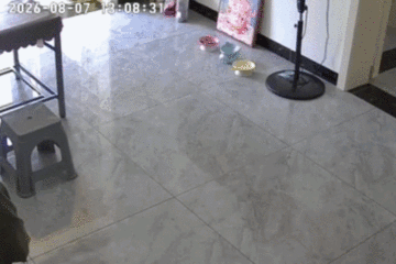 四川宜賓市高縣發生4.9級地震　居民家中監控畫面曝光