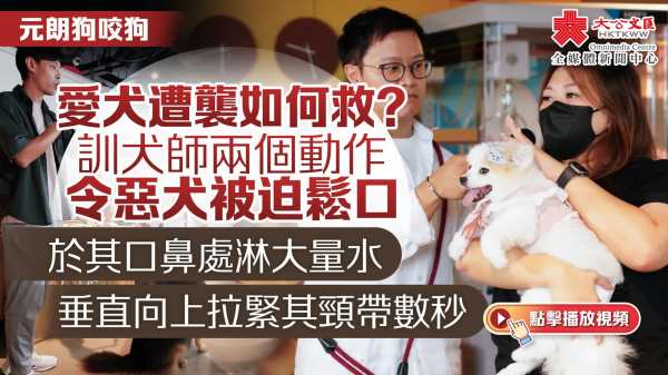 （有片）元朗狗咬狗｜愛犬遭襲如何救？訓犬師兩個動作令惡犬被迫鬆口