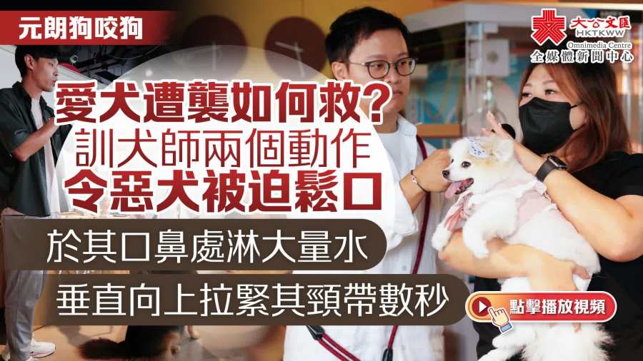 （有片）元朗狗咬狗｜愛犬遭襲如何救？訓犬師兩個動作令惡犬被迫鬆口