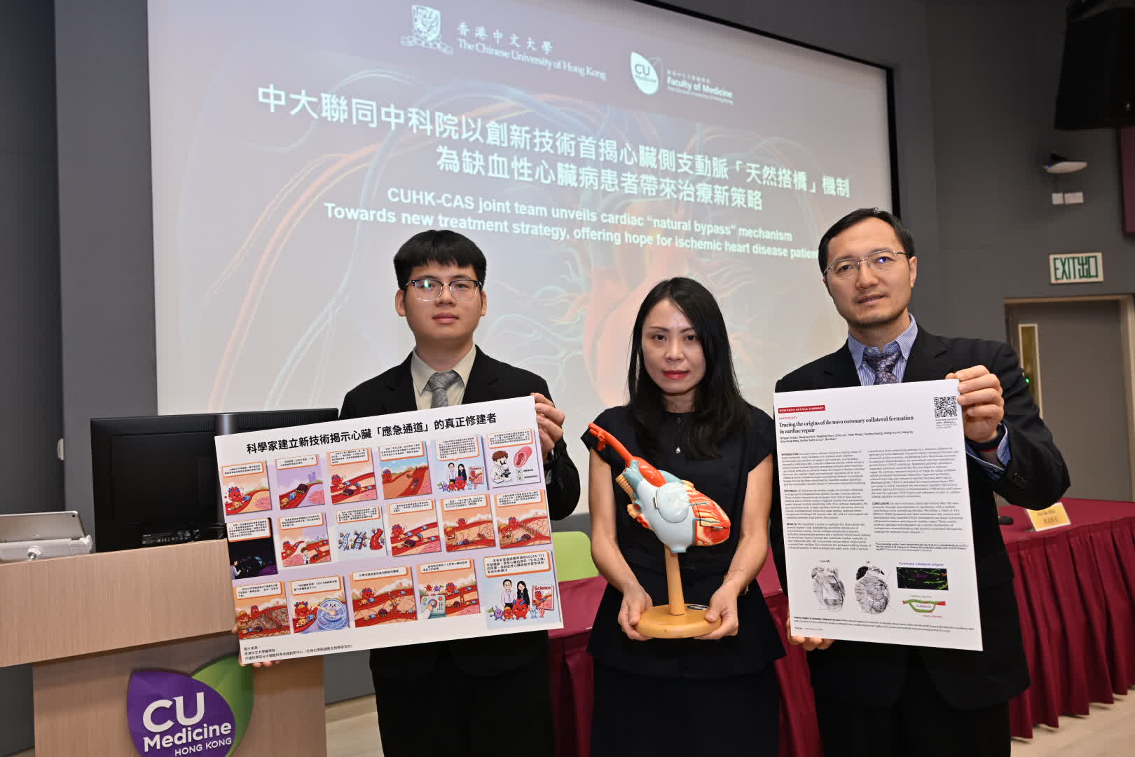 中大與中科院聯合研究 首揭毛細血管可「升級」為側支動脈 為缺血性心臟病治療開新路 - 教育 - 香港文匯報