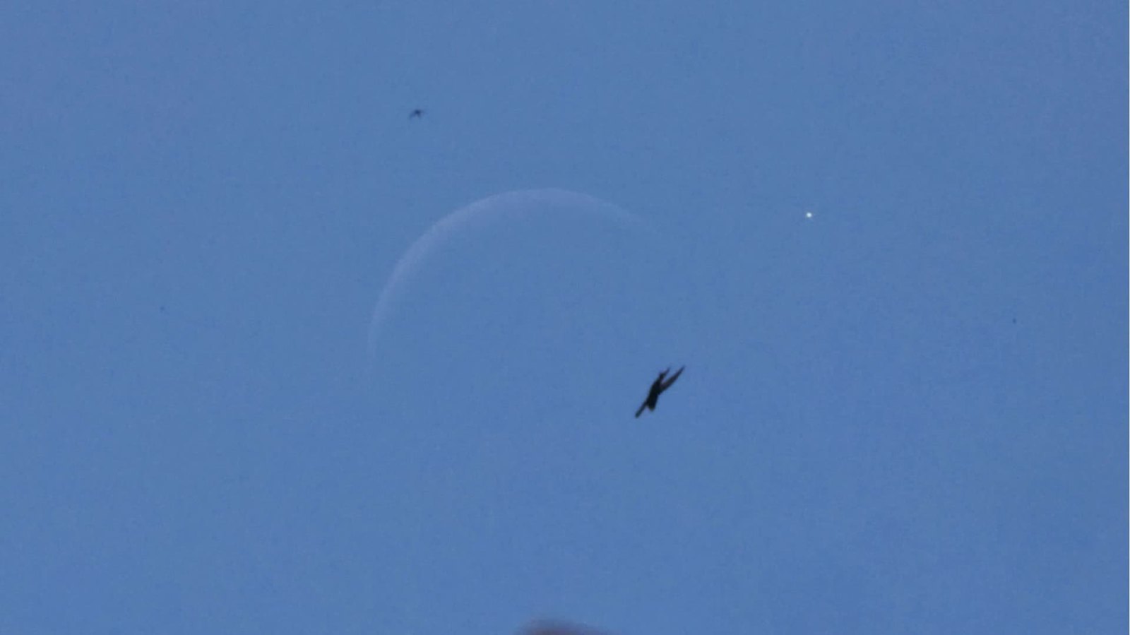 9月「天象劇場」金星伴月、中秋月將登場