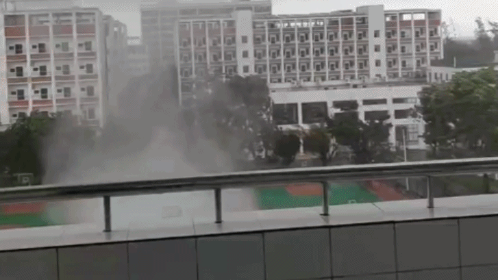 （有片）海南萬寧出現龍捲風　導致大量樹木被吹斷